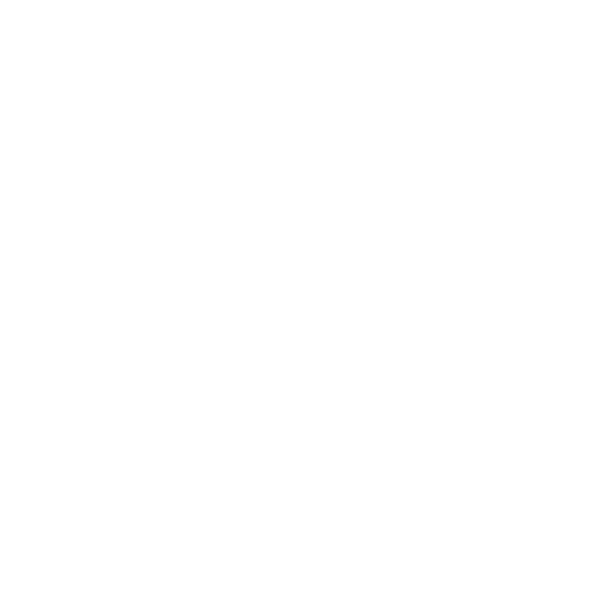 Shadow